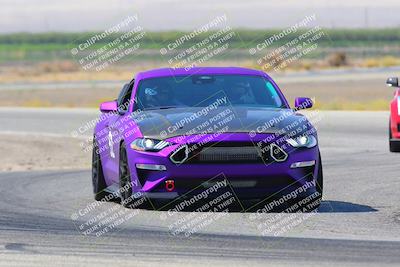 media/Sep-18-2022-Speed Ventures (Sun) [[5447a334fb]]/Purple/Cotton Corners/